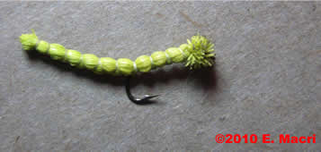 Spring Creek Fly Patterns: Terrestrial Inchworm from www.pennflyfishing.com